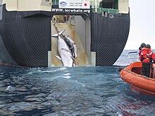 whaling wiki